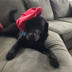 Meet your Posher, Ryan